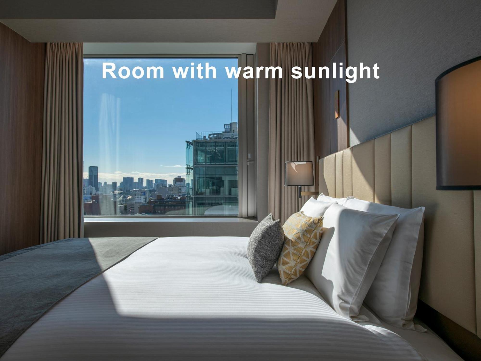 Mitsui Garden Hotel Roppongi Tokyo Premier Екстериор снимка Room with warm sunlight